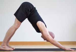 Downward Dog