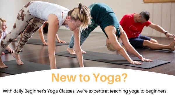 Beginner's Yoga Brisbane