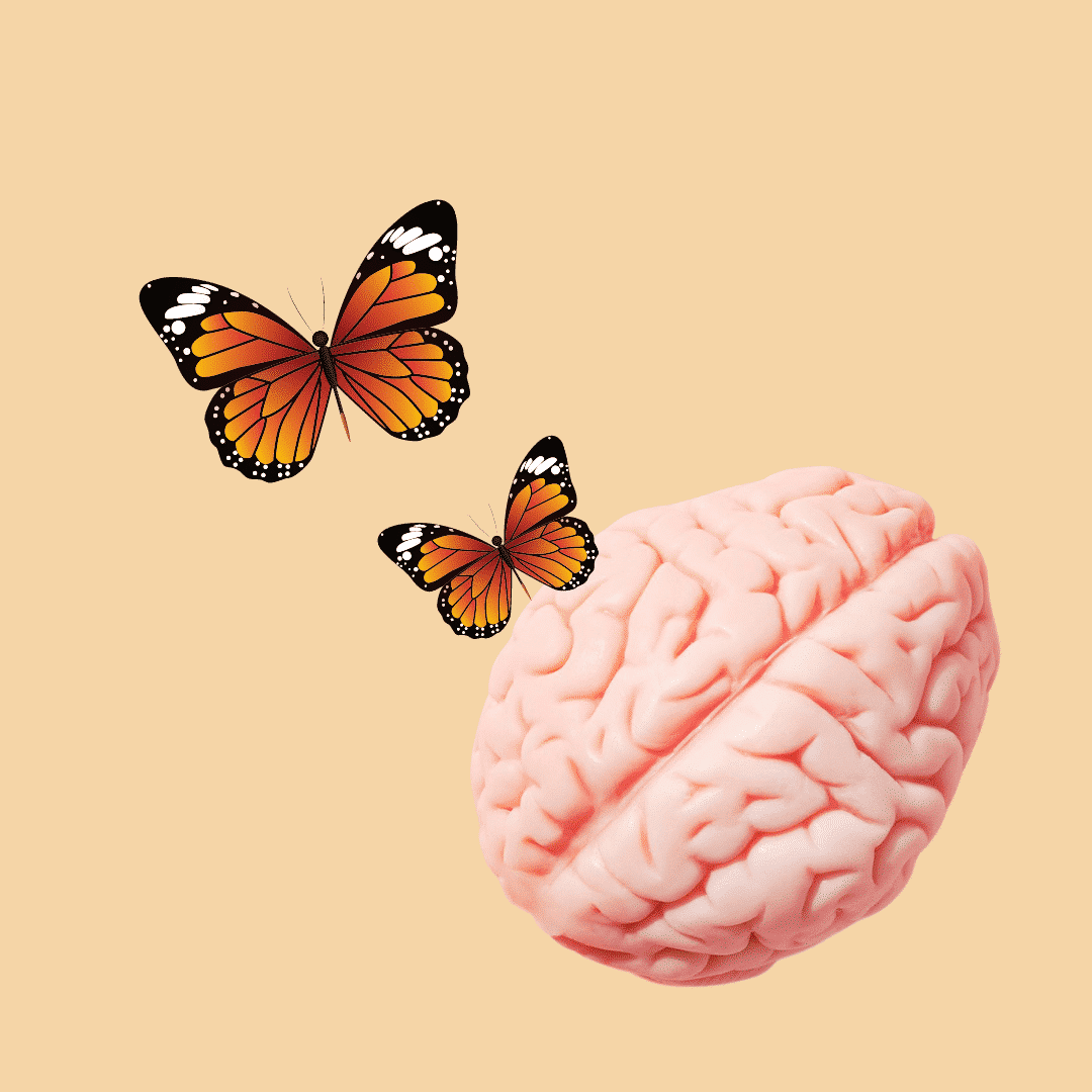 Butterflies and brain to show a happier mind